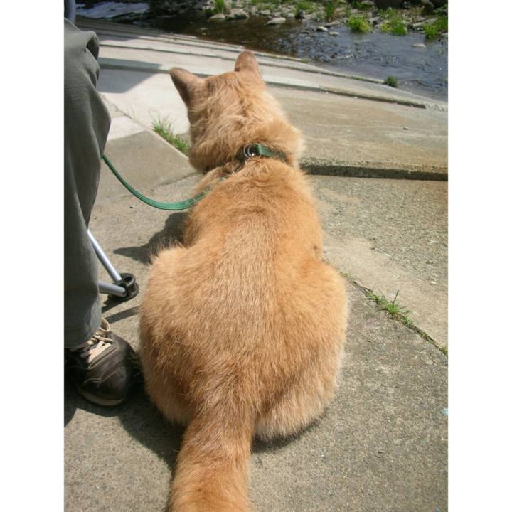 B65e376a 0470 4c4e 867c 113a701c39a9