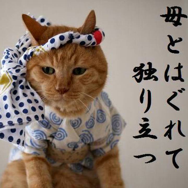 B65f939f e848 4ab1 b308 a4bbed5a5f02