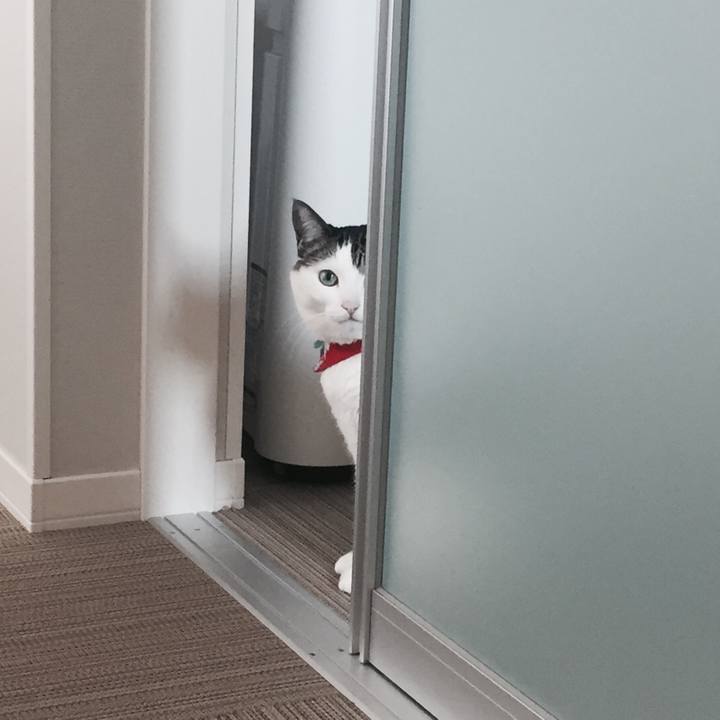 B65fb0c9 dce2 4a9a 90b9 1bdc403de9f1