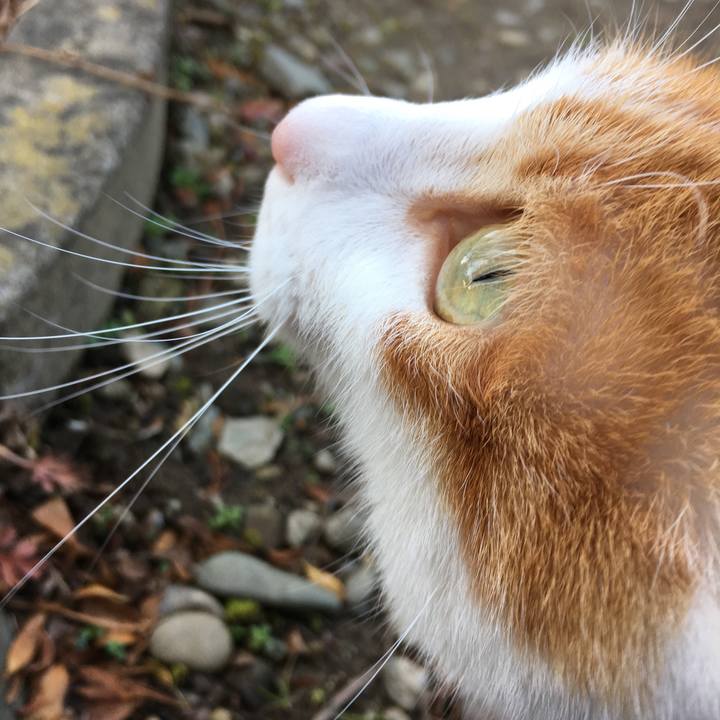 B65fc004 4947 43f6 b1b0 1709215fa8de