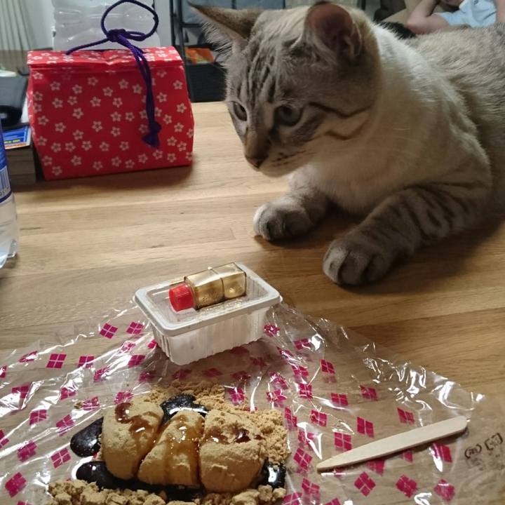 B65fd41f be4c 468d 9d81 8ed78e4cf7a0