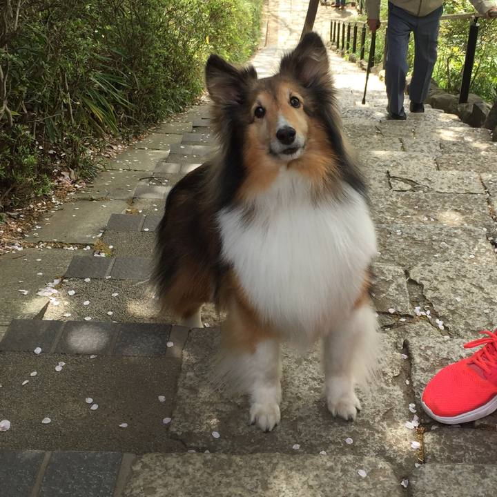 B66021c1 bbab 48bd a6c1 3a1fd0025338