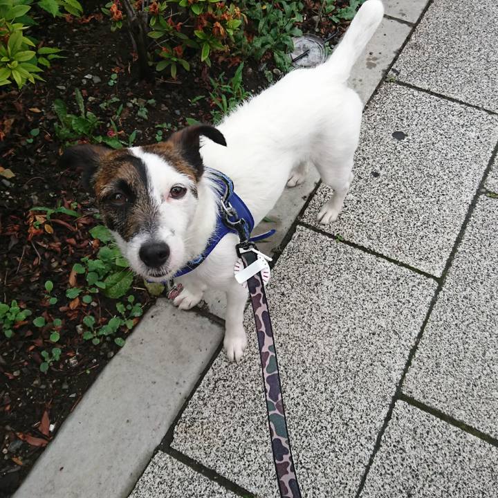 B6604086 2bf5 4fc8 bd5a c59b8f260efe