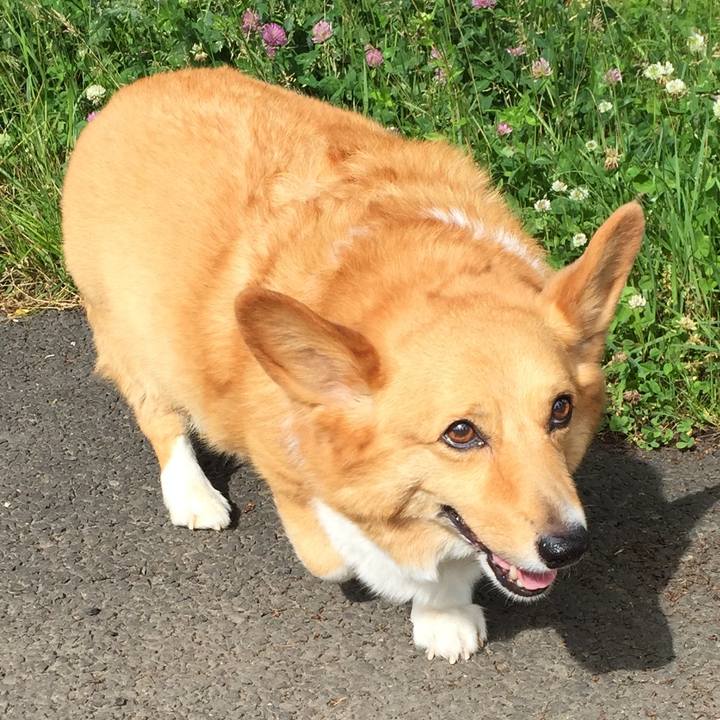 B6606ff3 5a4c 4e4f b846 fc7859509663