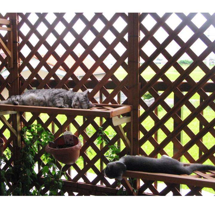 B660b037 3d2e 4cbc b5e8 29d8d5a041ac