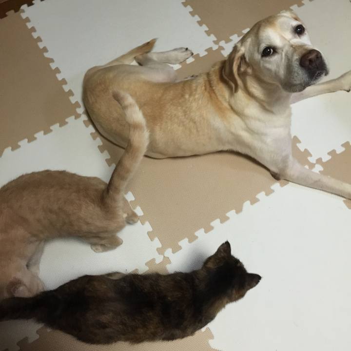 B660f667 6985 4ead b0fa 9afce4689bb8