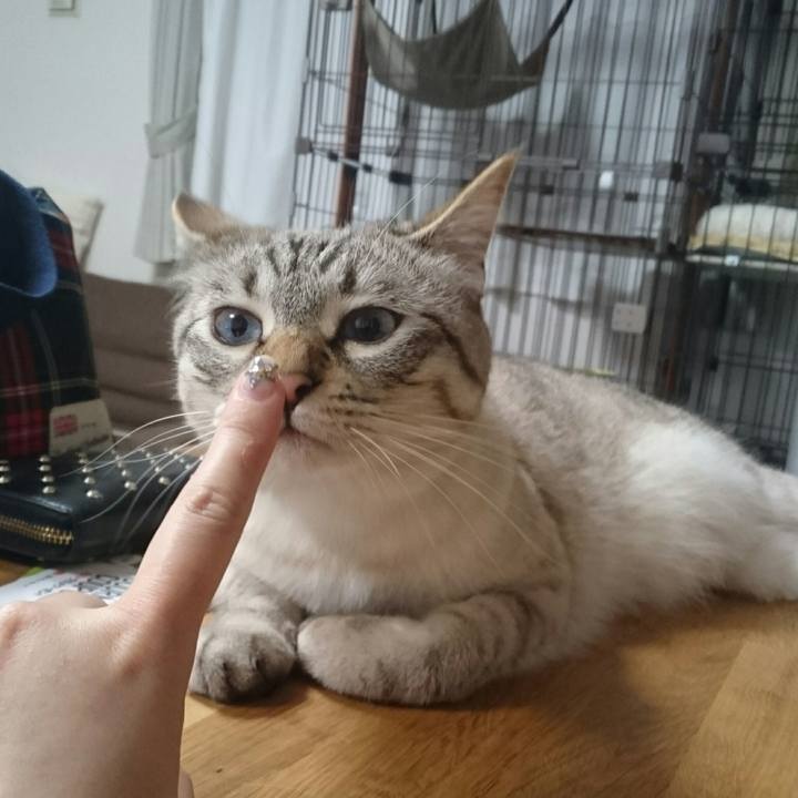 B660fb49 681e 440b 8056 d107eb8b585b