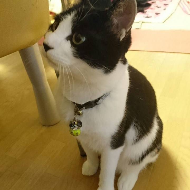 B662da7b ea0b 419d 9748 cc27134a1e07