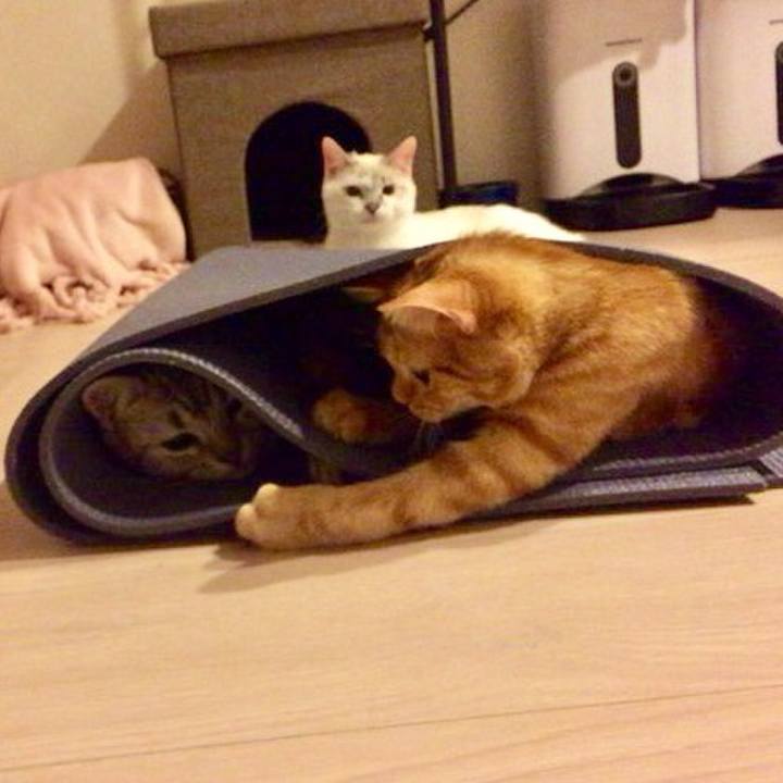 B6631116 e0a7 46f1 ac1d 88509a7044ed