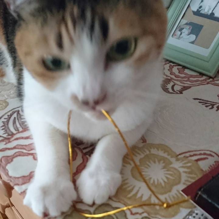 B66386a6 104b 4969 8d96 71035c3c4b18