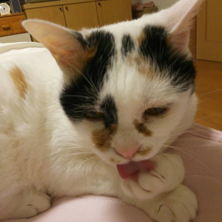 B6647c6c 2c63 46d2 9fe5 e92d78b6080e