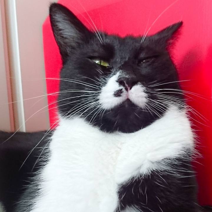 B6655803 aa38 400d b695 85199b7593ca