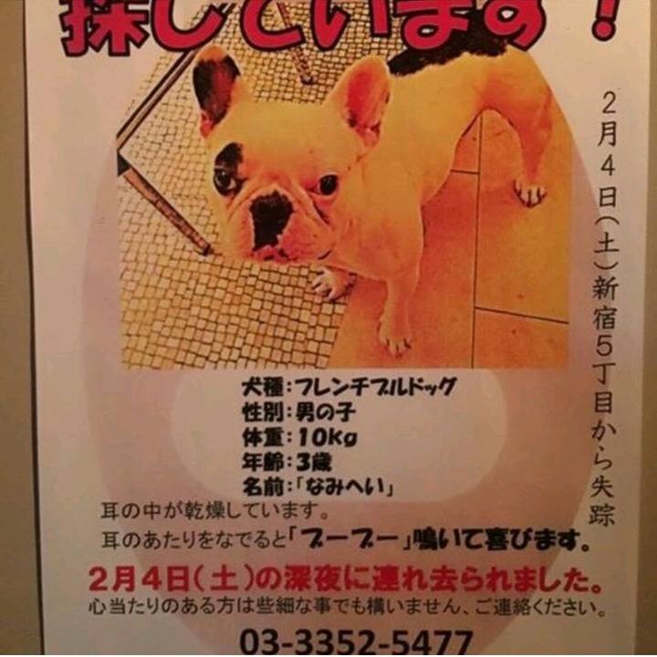 B665ee2d a5ed 480e ad6e 4bb8efd6131f