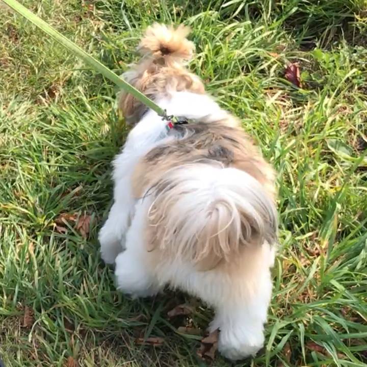 B6664312 9933 41df 9781 6c913130fe3b