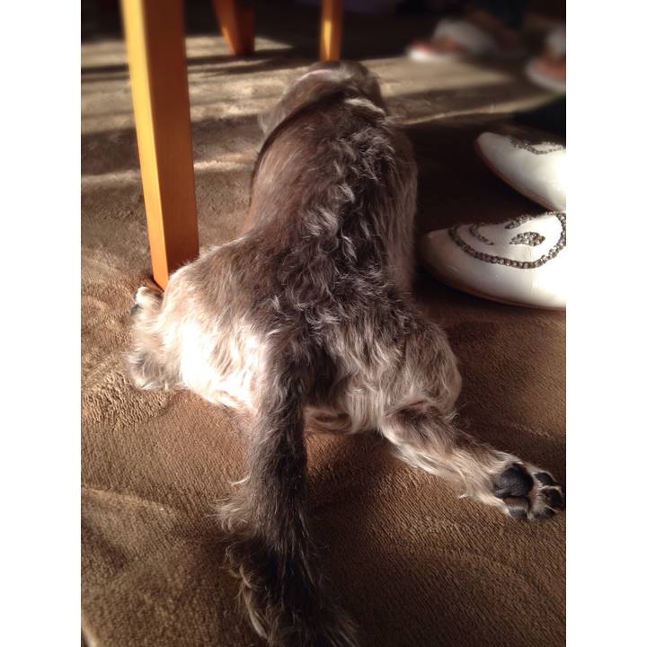 B666df07 e382 4fe5 9259 66166250db5a