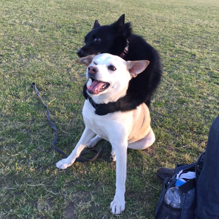 B667c30f 540a 4799 bca4 8942e85e95c5