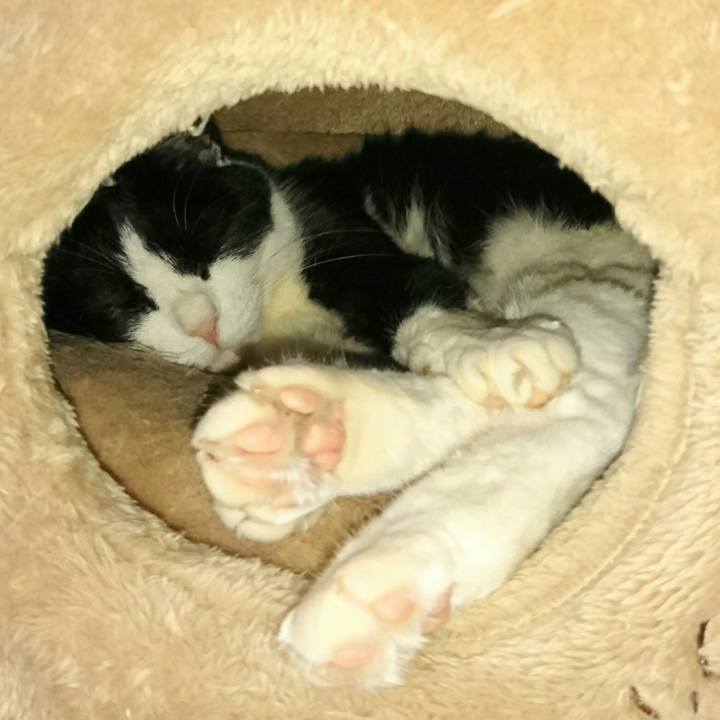 B667c3d1 4f28 45d2 85c7 929f5c151a2c