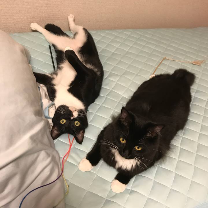 B667cff5 83bf 4255 b7f3 91d4ca1d9bdb