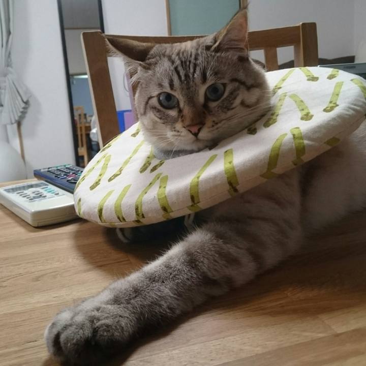 B667e14e 23b8 4afe ae74 c6a9202d5524