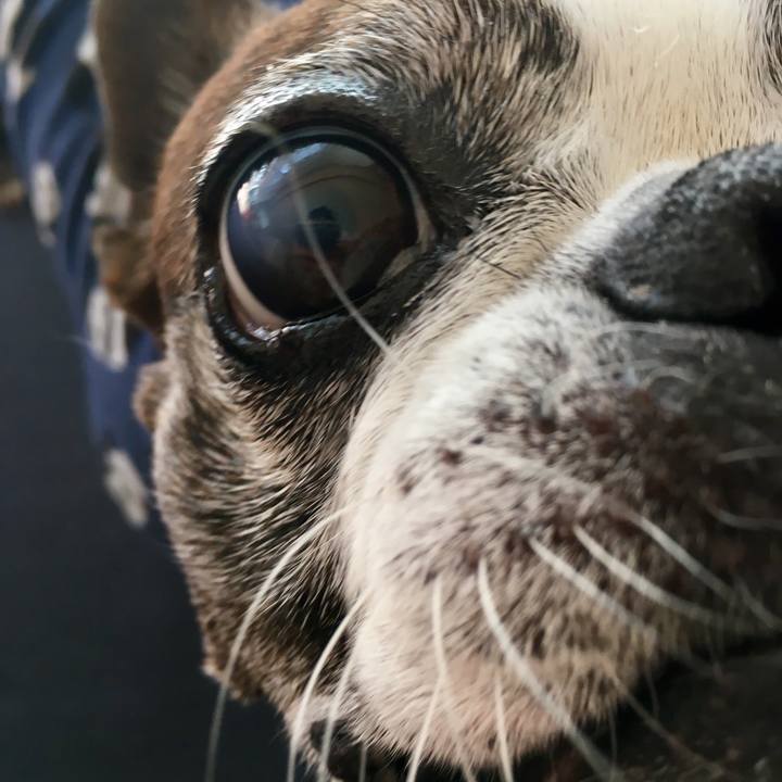 B66805ed 5eee 4e98 ab91 58c4eb0b4a59