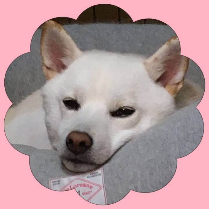 B668b744 51d5 4d8f bbf6 1f1d6e952a1c