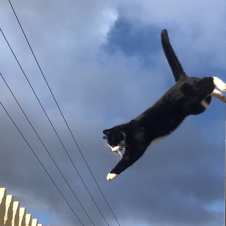 B669744f 28d8 4da1 a560 750c18701423