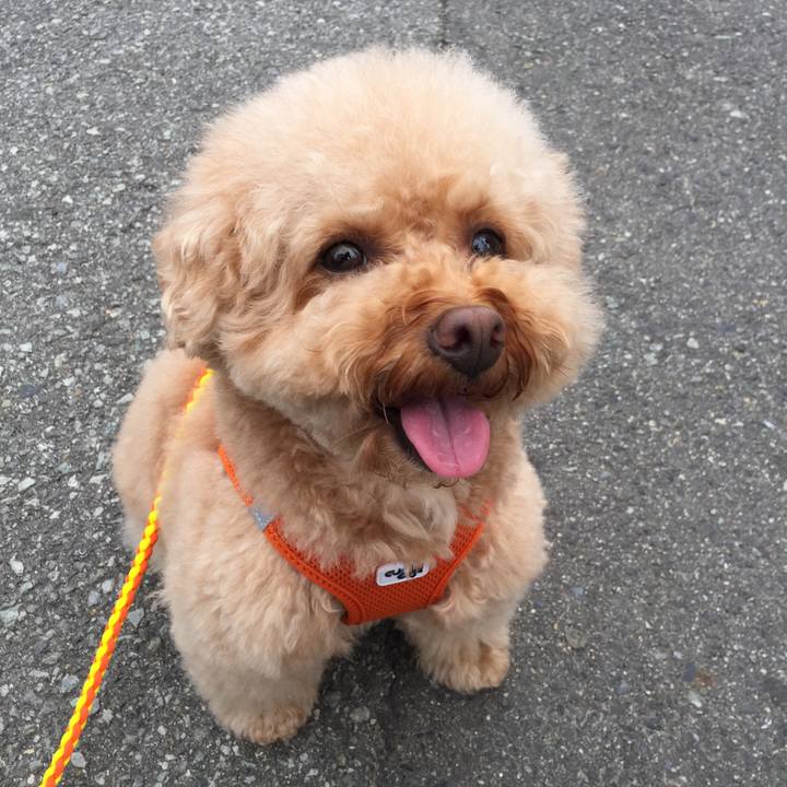 B669dab4 6995 4ac4 bf6f 3ca45dc87f45