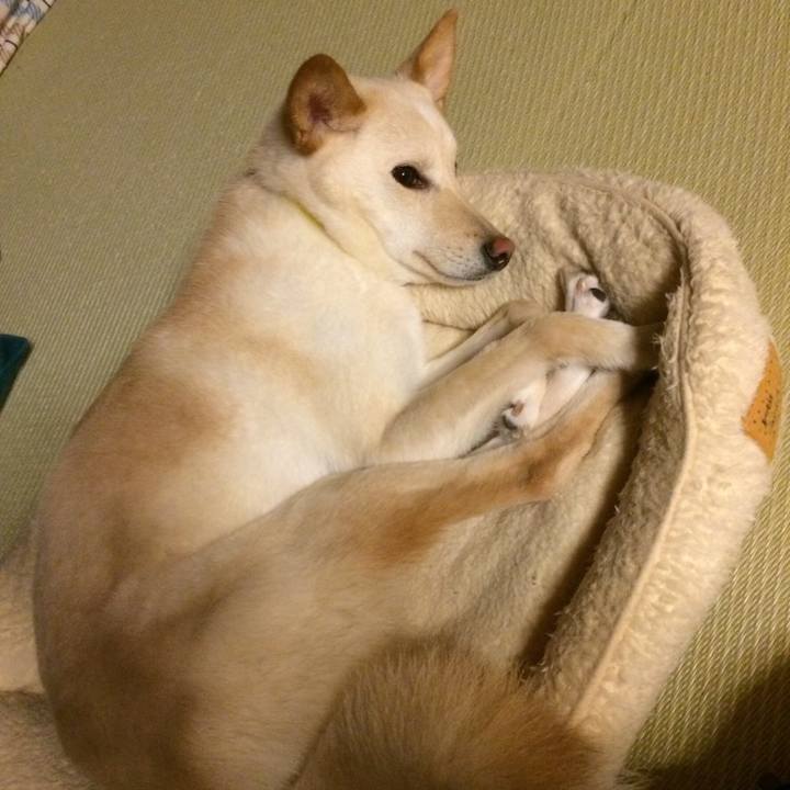 B66ab5bb 3059 403f b0cc 5da02641632d