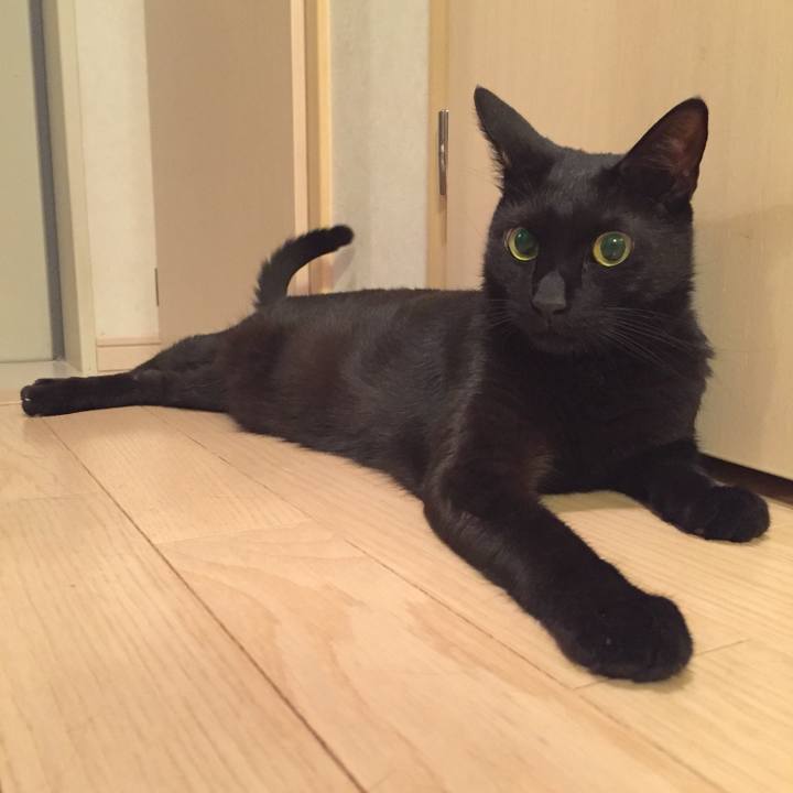 B66b6d8b 39fd 473e 9ce9 dcea80adf871