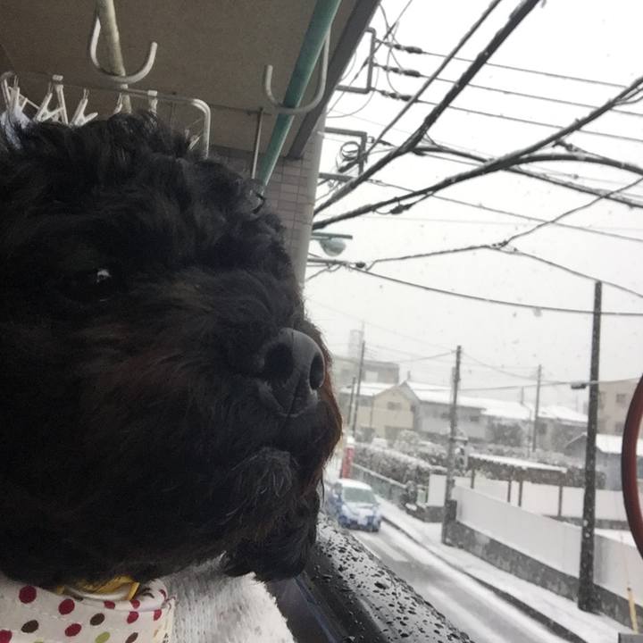 B66b8bb8 7d0d 458b 8a98 27923dc6cdc8