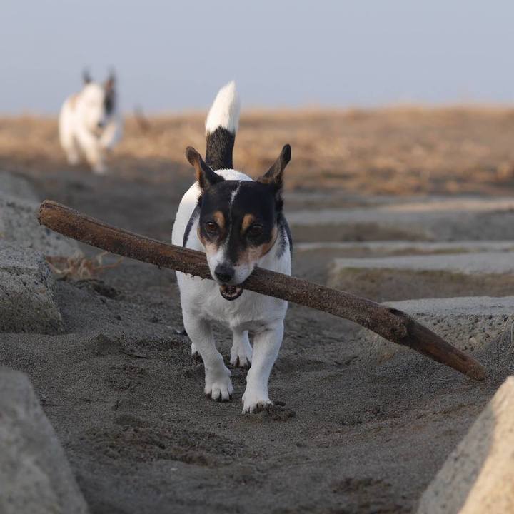 B66bdc3a 812f 4bf1 affa 454705f621d8