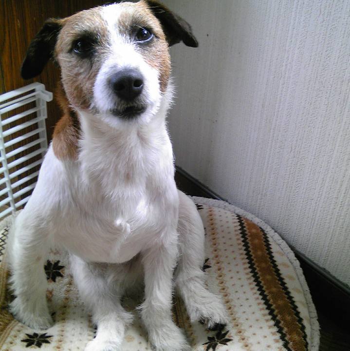 B66c2f85 7eb8 4c8e 9935 ca27633e2523