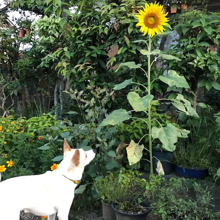 B66c8759 781e 4a17 b520 8b10601ed923