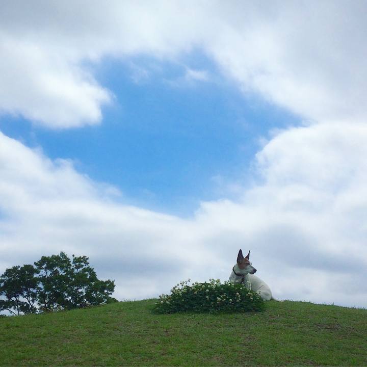 B66cb962 815f 43ed aaca d86d27d2dcf4