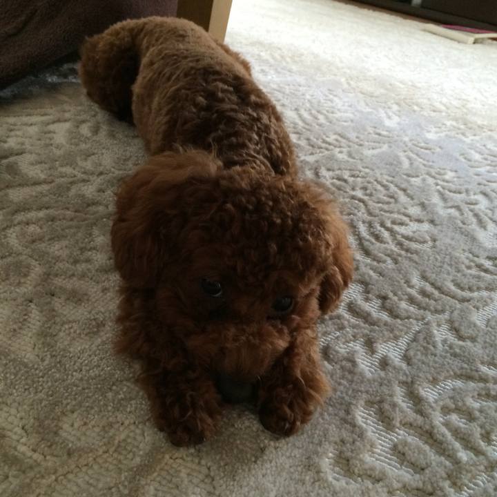 B66cef41 3dbf 4264 8bf7 fcecc7f71955