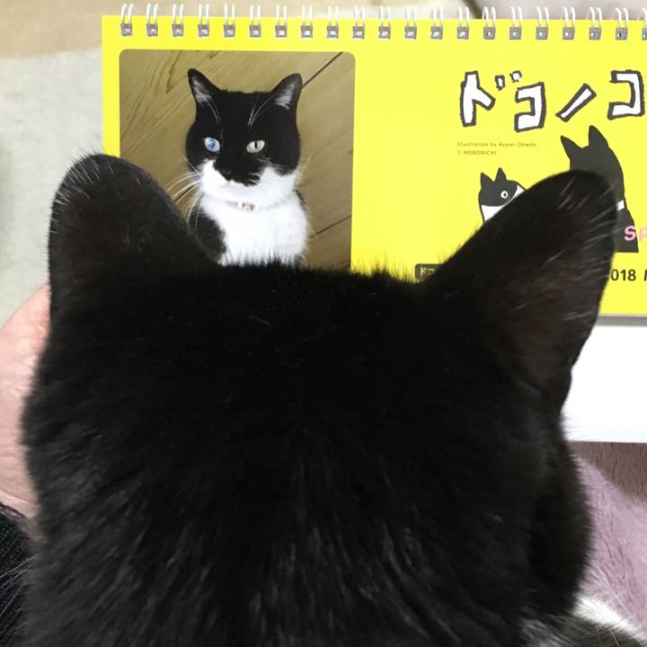 B66d0907 c726 4394 bf85 86c861de048a