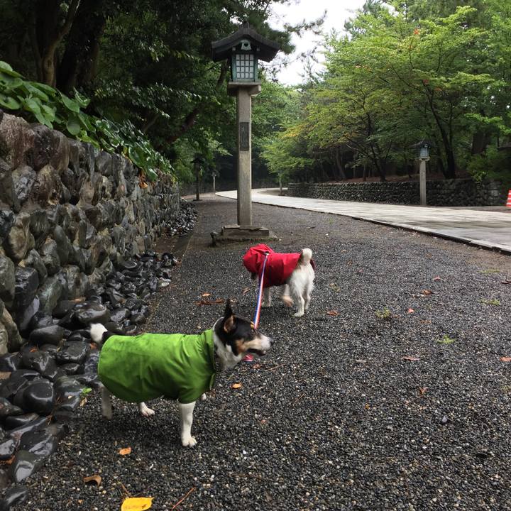 B66d1e24 a4ae 43db afbe 64e6d7d407df