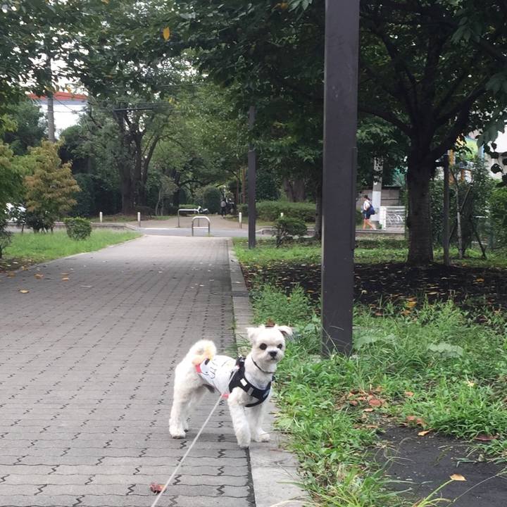 B66ea452 9922 4e35 b320 18c1d1fecd7f