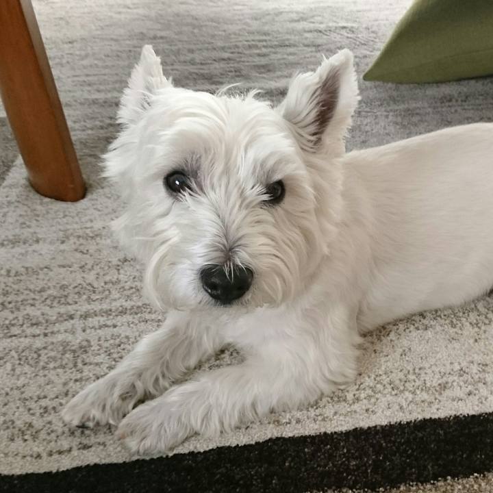 B670d33c ff09 4b66 af8e 1e9126753b86