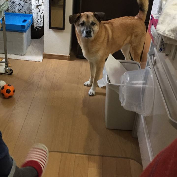 B670d824 ccab 4cfe b317 f72fd731a50d