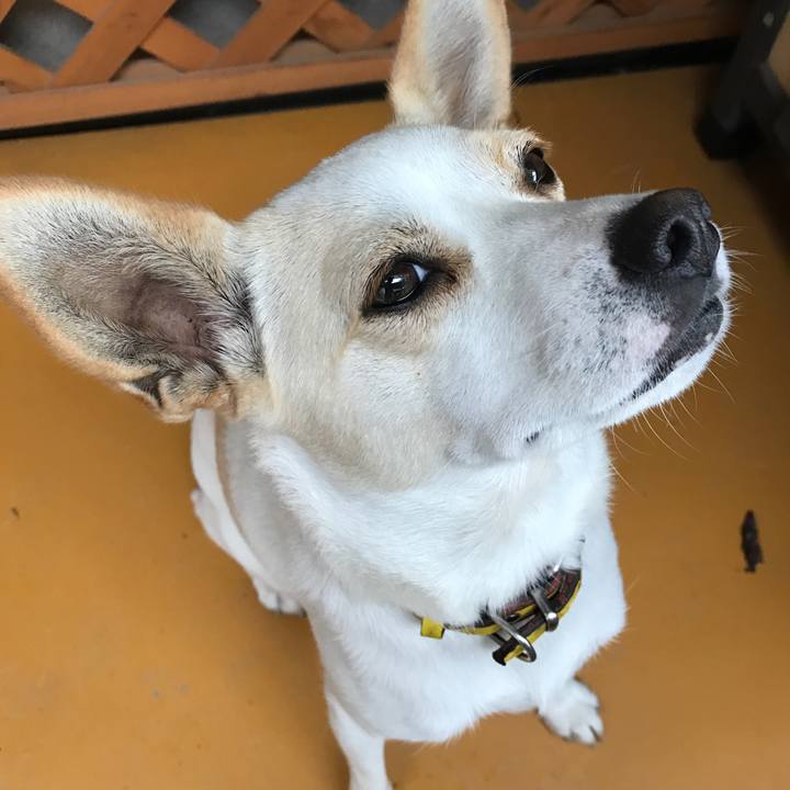 B671618c 1a3c 4cce b302 7a5fb6a3f7e5