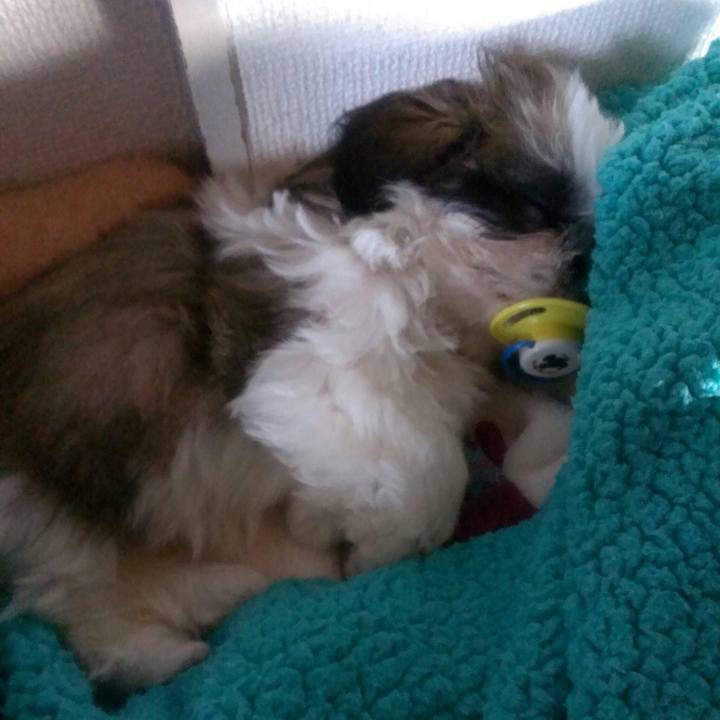 B671f21a c55d 4821 8b59 54e57217583a