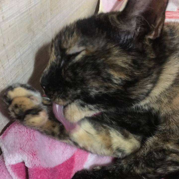 B6723ee6 9bdc 4725 aaa0 8565969f1ed8