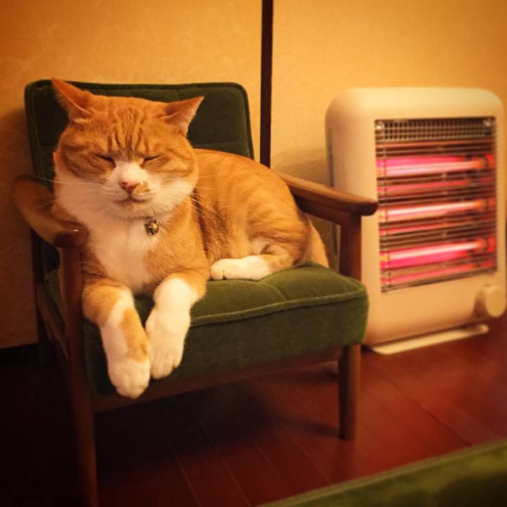 B672ddca c04d 47b0 9cf1 0ab7a51cd12f