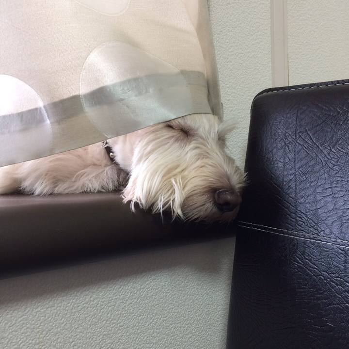 B67341b0 acd7 470b 9468 e5a296bc4bf8