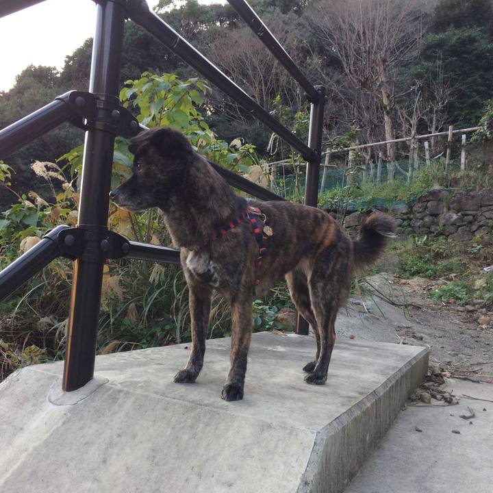 B6739adf 7d3c 48b3 aa26 29c82a89c0dc