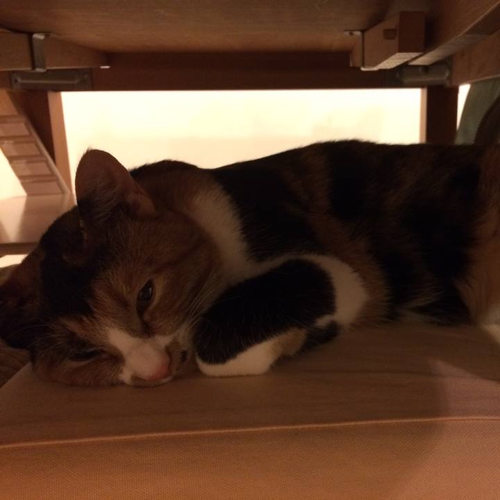 B673e213 03f6 4eb8 be71 9179b8fad869