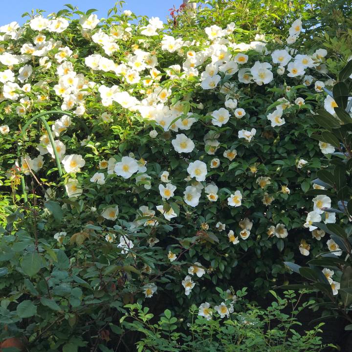 B673fc6f 095e 414a a33e 6a79e6f41169