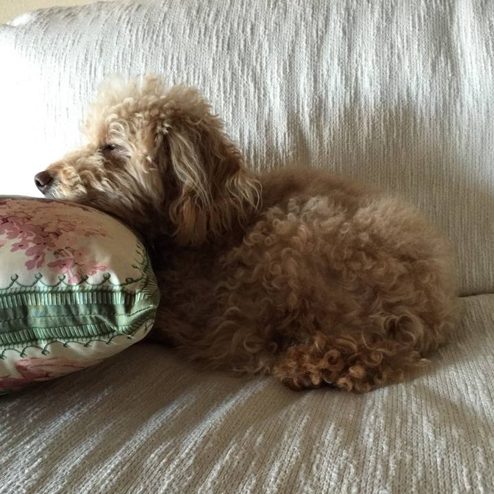 B6740fb4 9f6f 443e 912f 310b0756c542