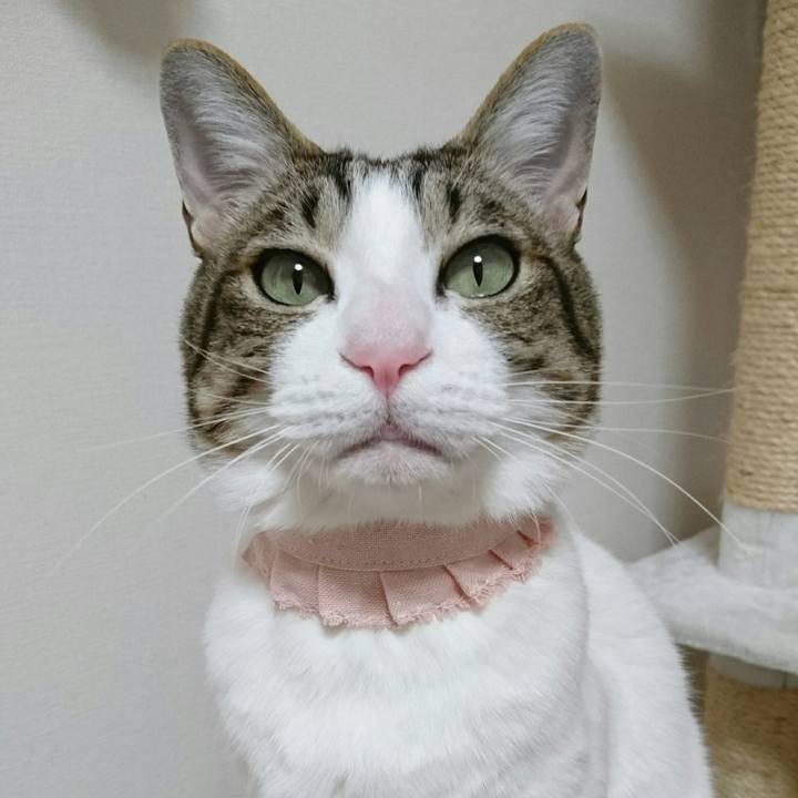 B6742c1f 21d4 4f80 bdc4 45bd159471a8